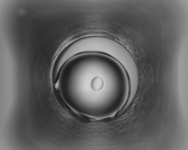 X0000116590296200912171559