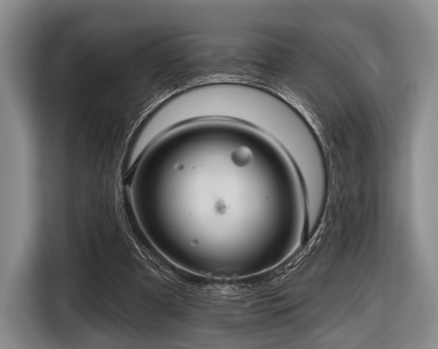 X0000116590297200912171559