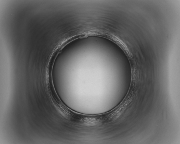 X0000116590298200912171559