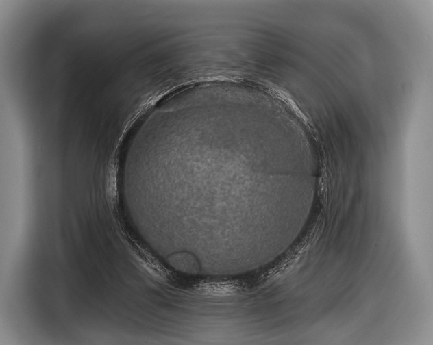 X0000116590299200912171559