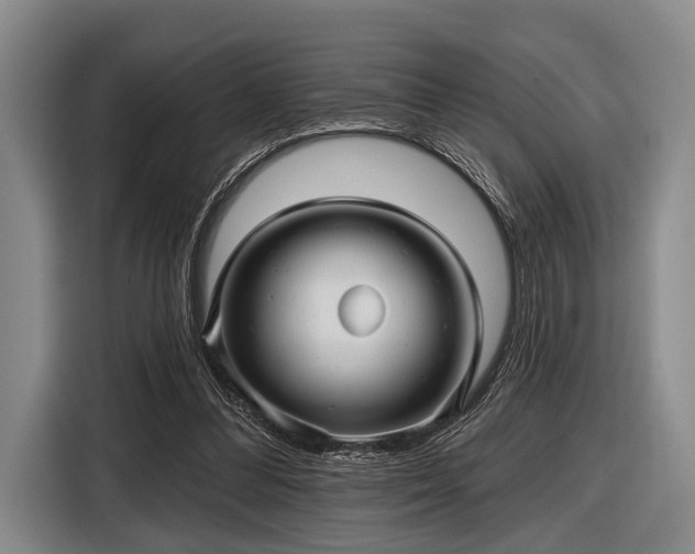 X0000116590300200912171559