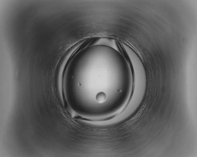 X0000116590301200912171559