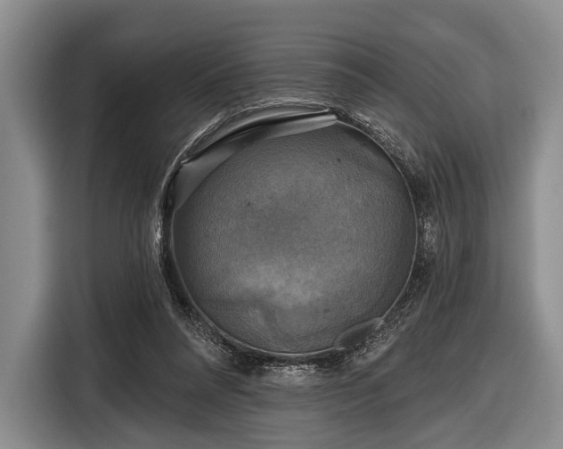 X0000116590304200912171559