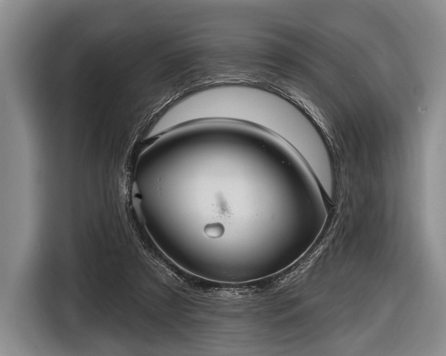 X0000116590305200912171558