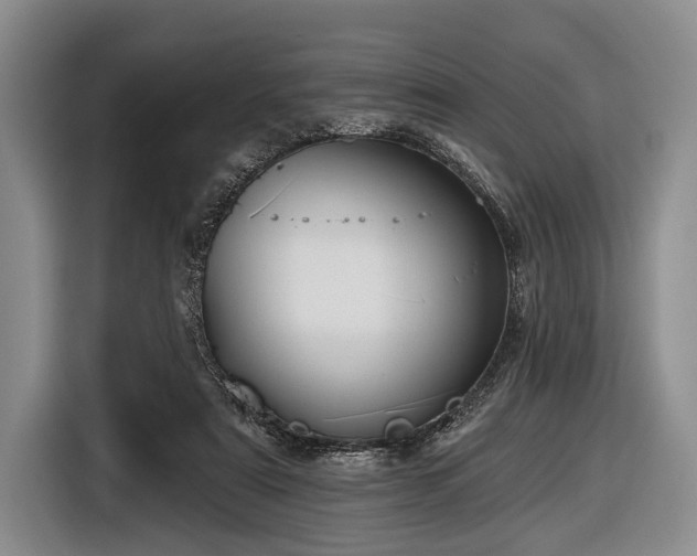 X0000116590307200912171558