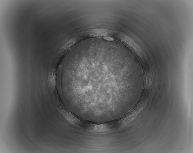 X0000116590309200912171558