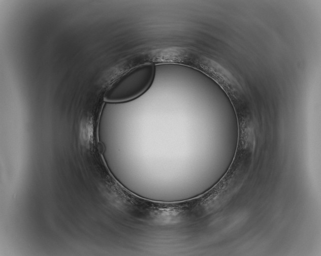 X0000116590310200912171558