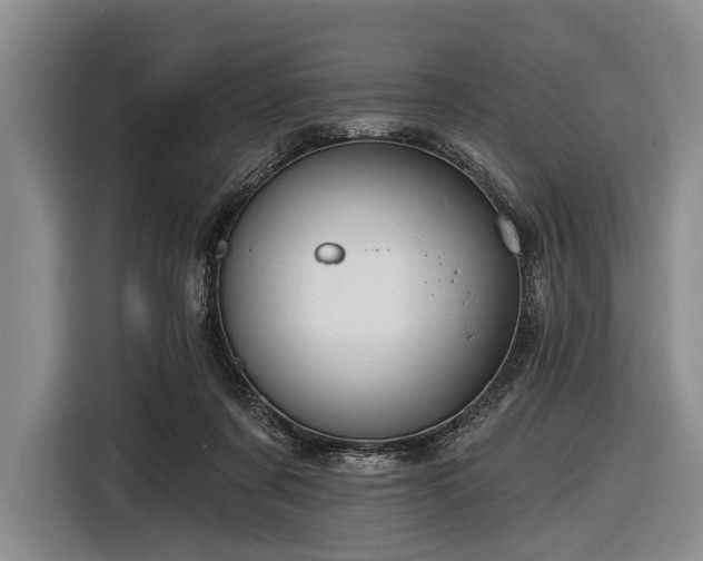 X0000116590311200912171558