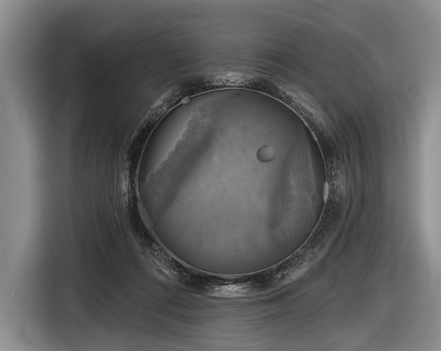 X0000116590312200912171558