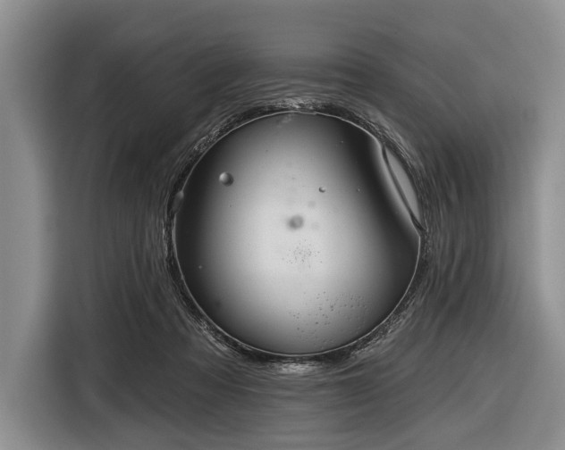 X0000116590313200912171558