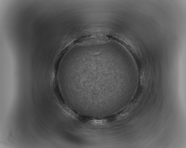 X0000116590314200912171558