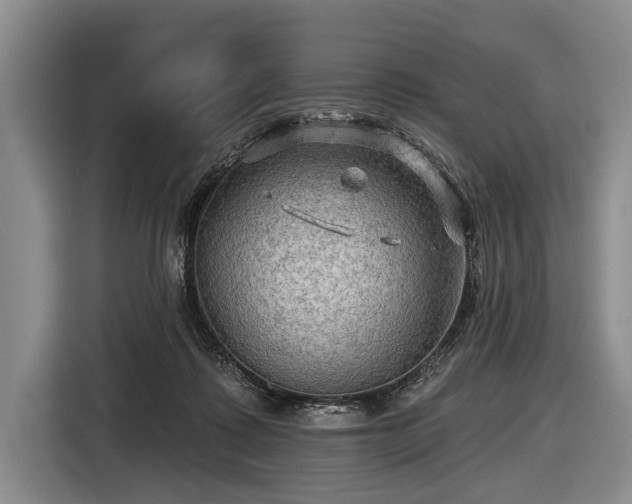 X0000116590315200912171558