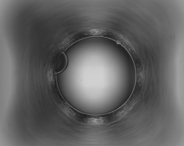 X0000116590317200912171558