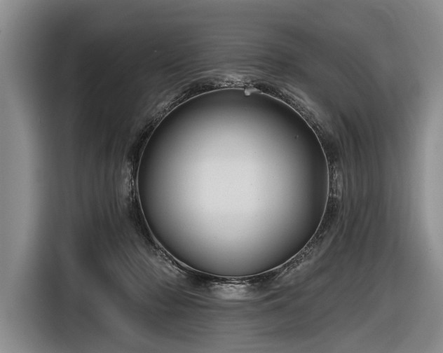 X0000116590318200912171558