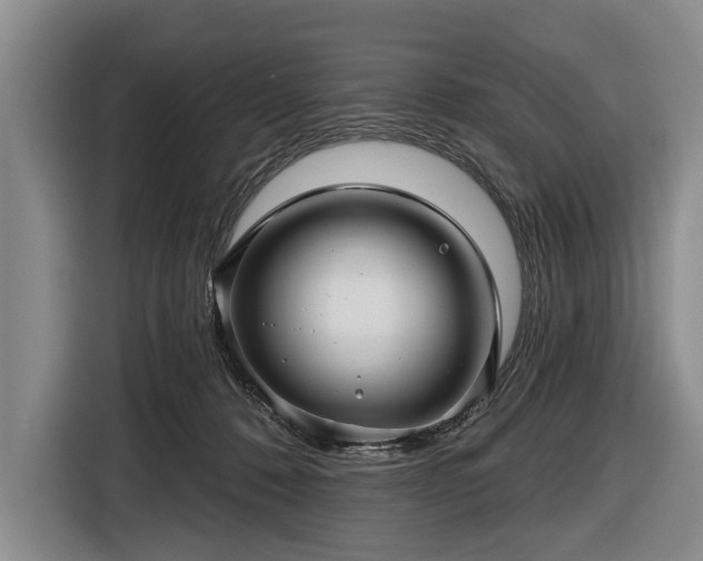 X0000116590320200912171558