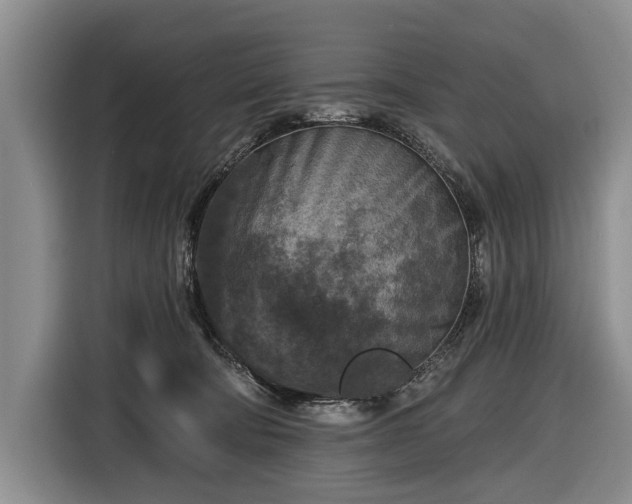 X0000116590322200912171558