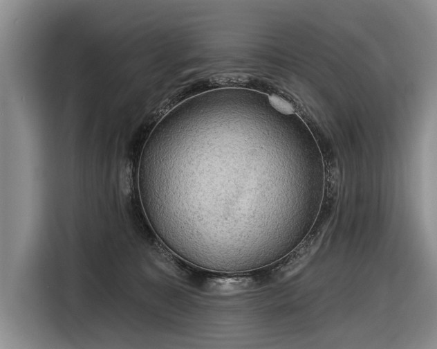 X0000116590323200912171558