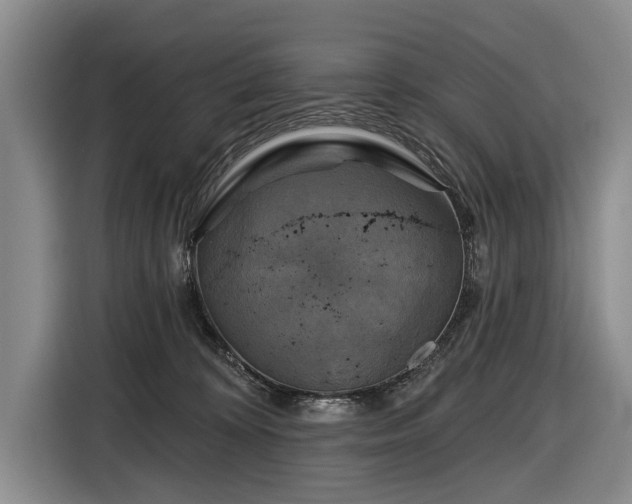 X0000116590324200912171558