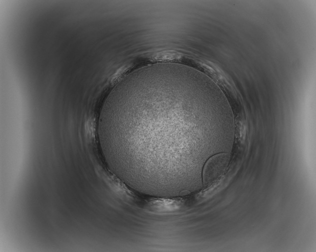 X0000116590326200912171558