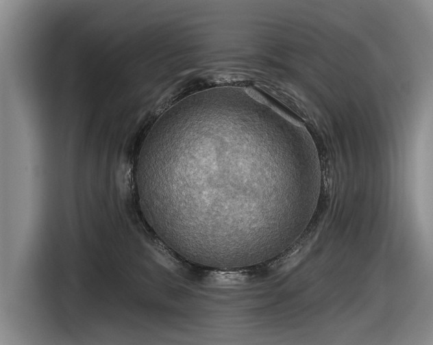 X0000116590327200912171558