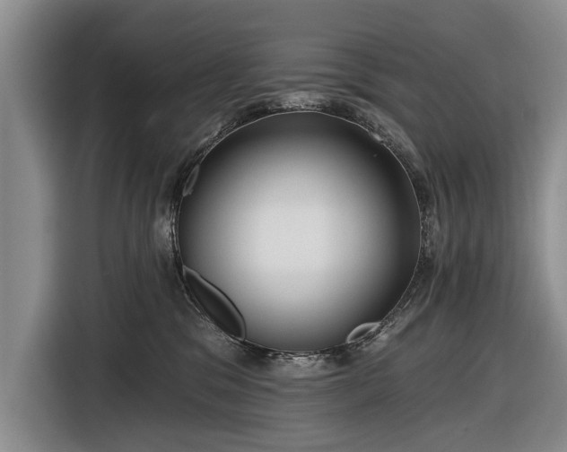 X0000116590329200912171558