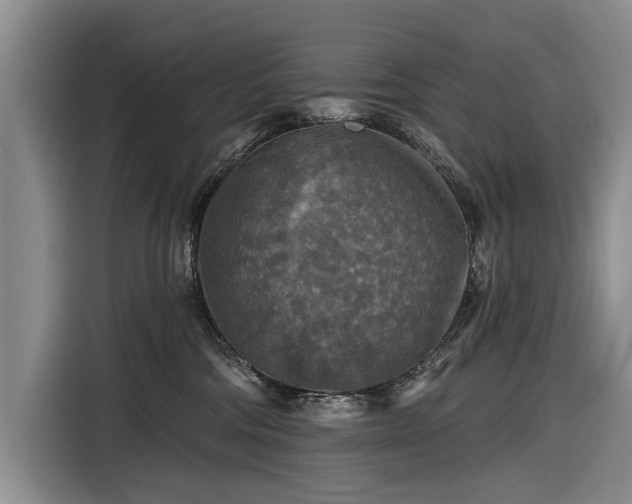 X0000116590330200912171558