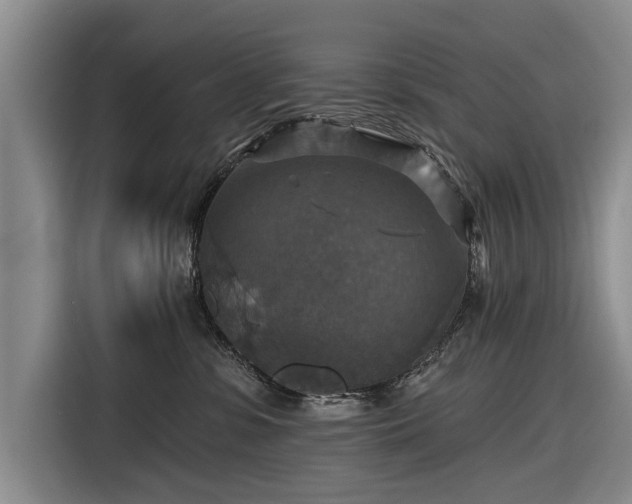 X0000116590331200912171558