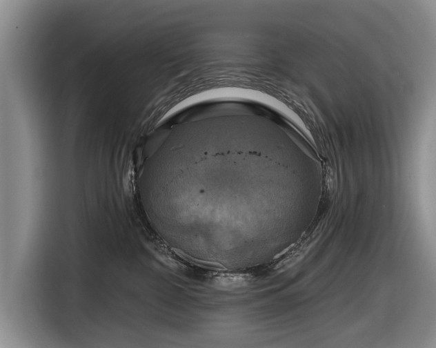 X0000116590332200912171558