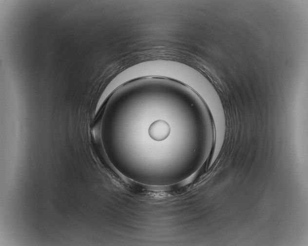 X0000116590333200912171558