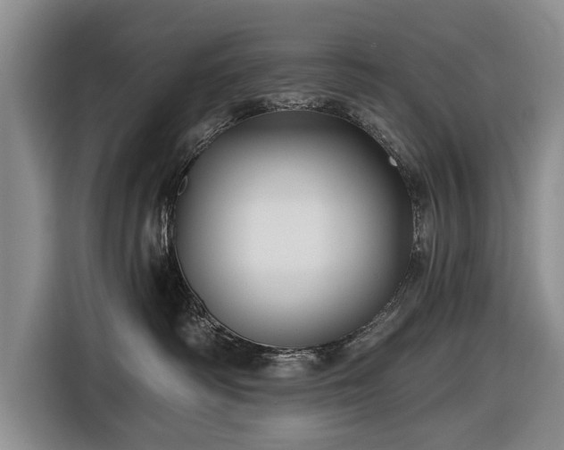 X0000116590334200912171558