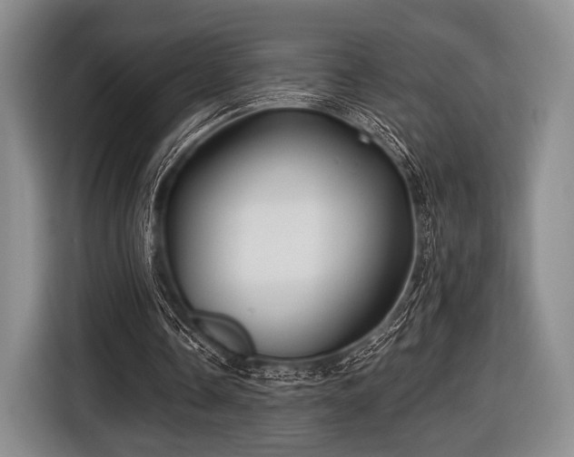 X0000116590338200912171557