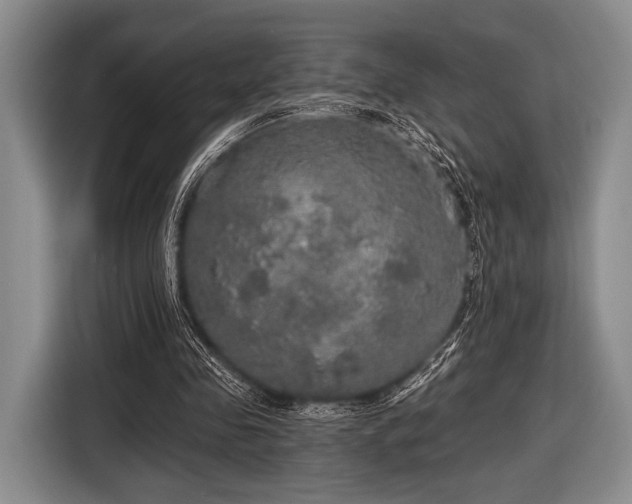 X0000116590341200912171558