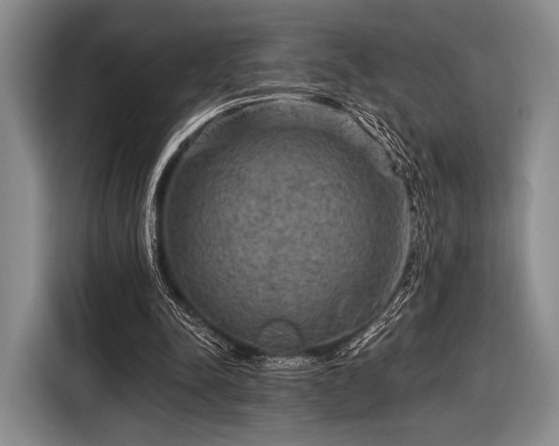 X0000116590342200912171558