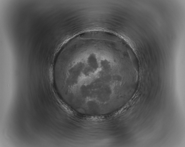 X0000116590345200912171558