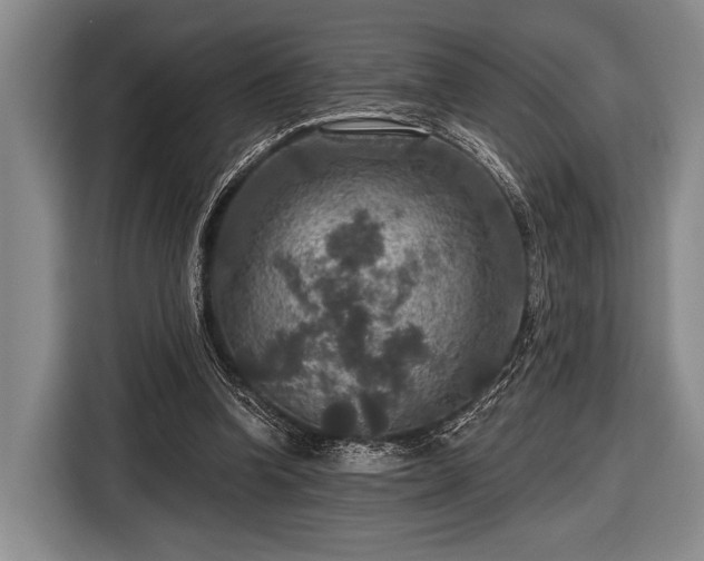 X0000116590346200912171558