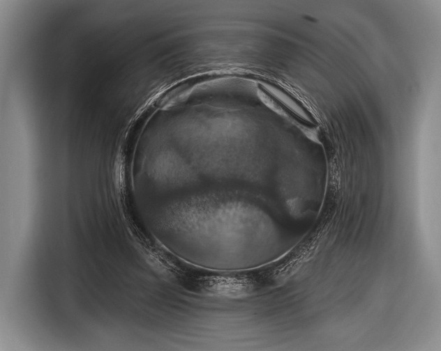 X0000116590347200912171558