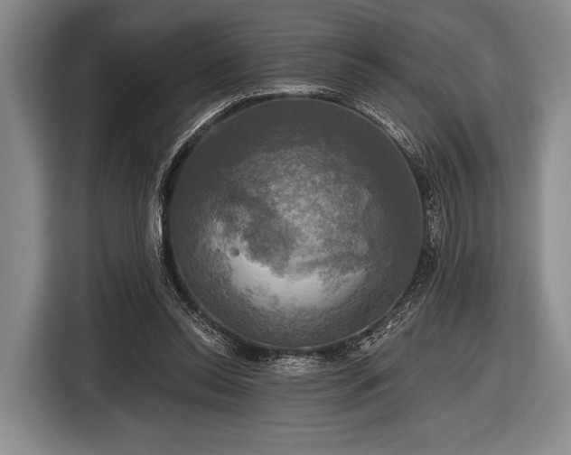 X0000116590350200912171558