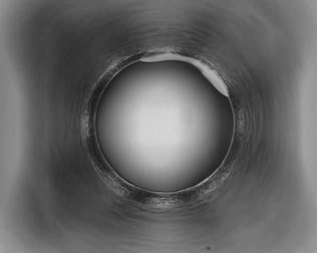 X0000116590351200912171558