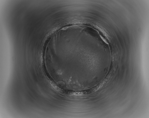 X0000116590353200912171558