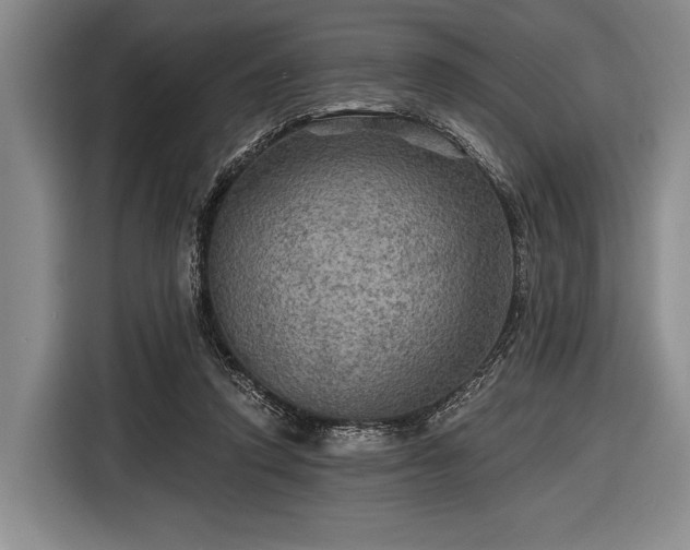 X0000116590354200912171558