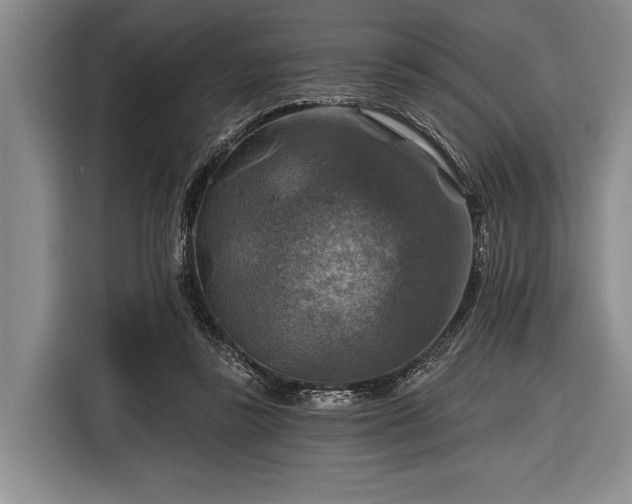 X0000116590355200912171558