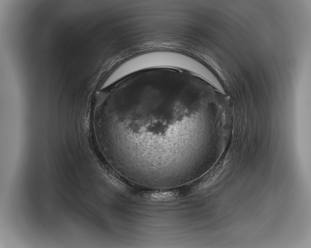 X0000116590357200912171558