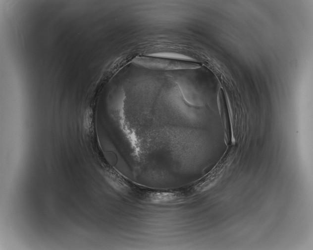 X0000116590361200912171558