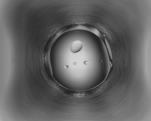 X0000116590362200912171558