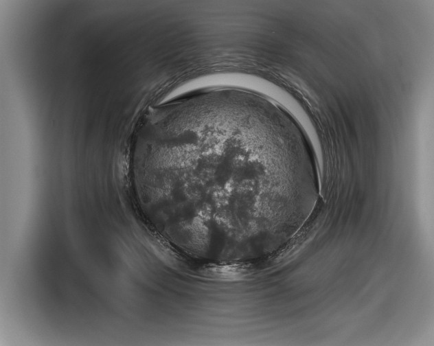 X0000116590365200912171558