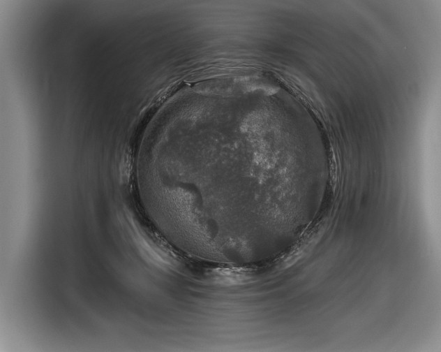 X0000116590367200912171558