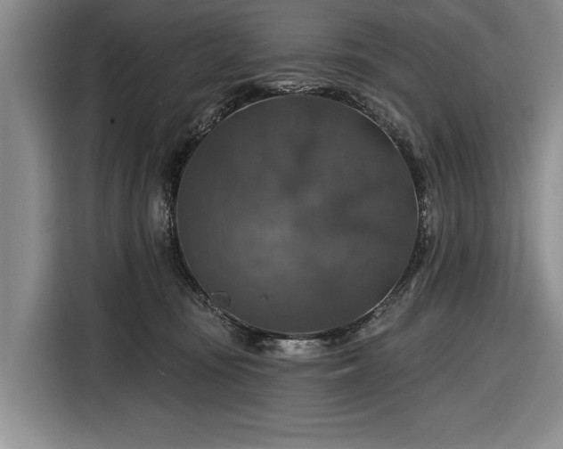 X0000116590371200912171558