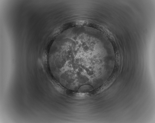 X0000116590375200912171558