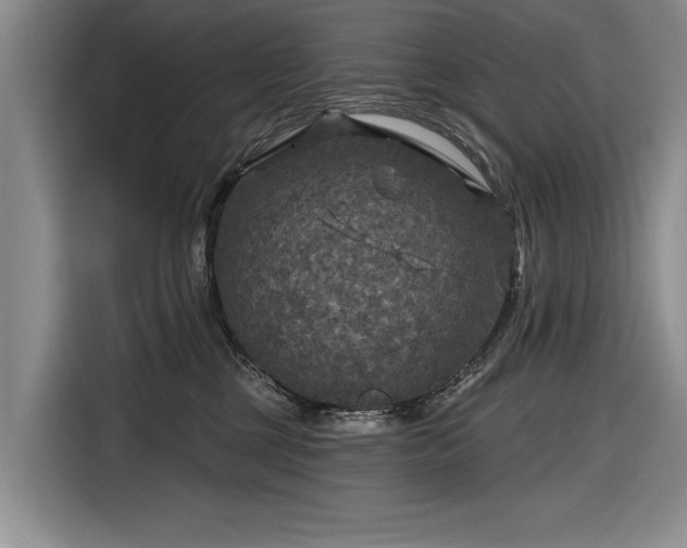 X0000116590377200912171558