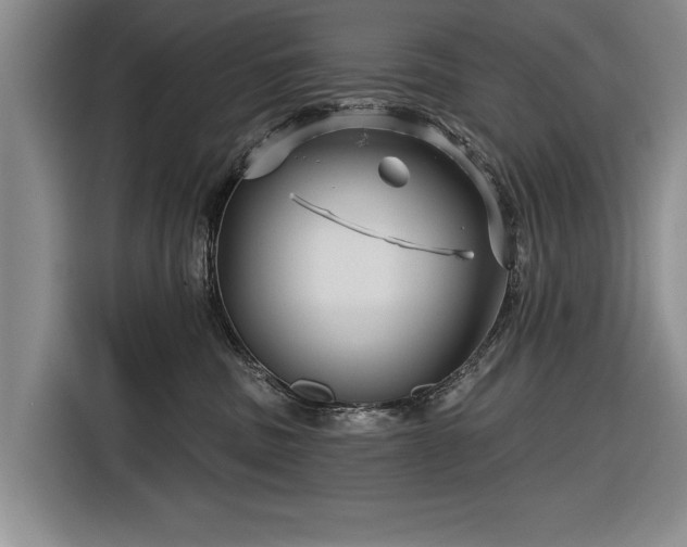 X0000116590379200912171558